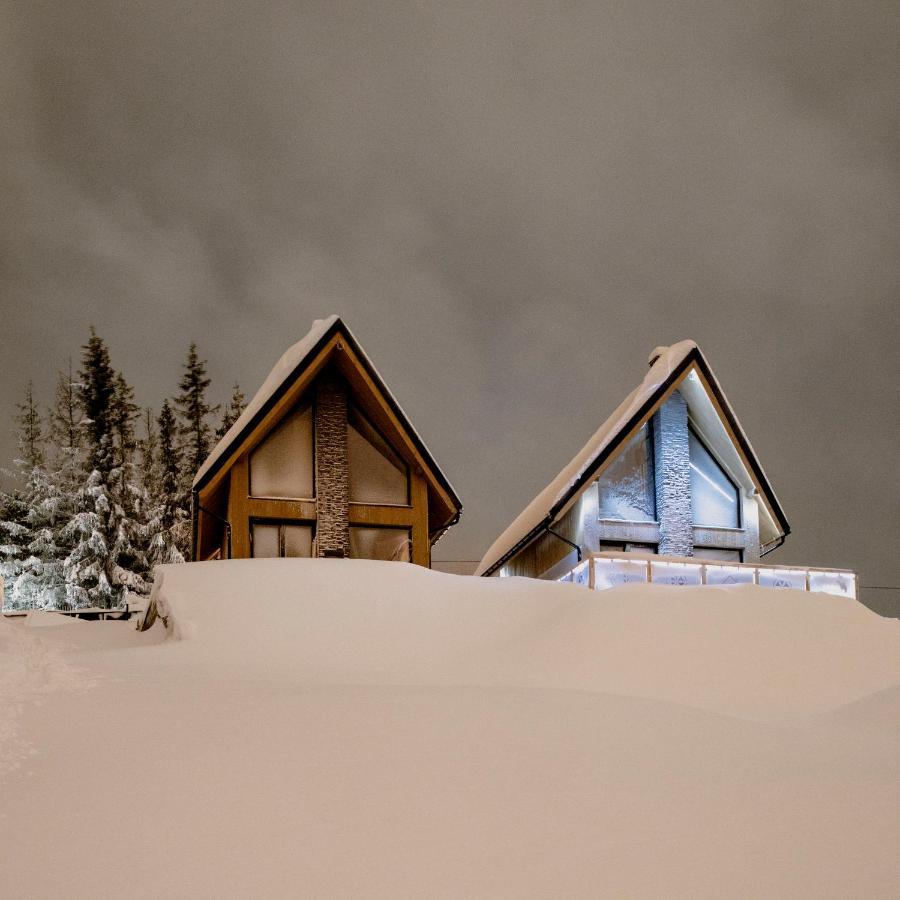Lesny Wierch Luxury Spa Villas Bukowina Tatrzanska Exterior photo